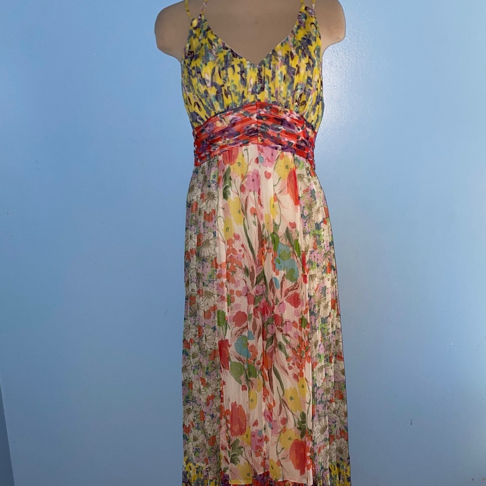 For lidmb only. 
Anthropologie Floral Maxi Dress - Multicolor - Picture 2 of 5